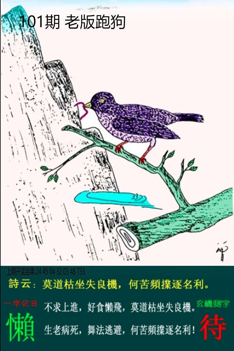 101期老板跑狗[图]